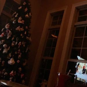 Meet your Posher, Christy